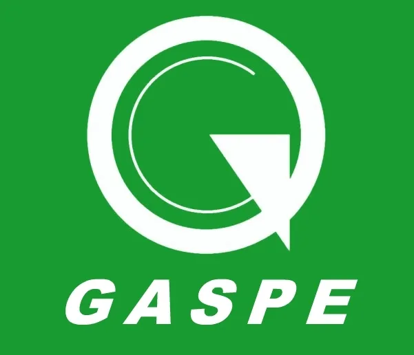Logótipo GASPE
